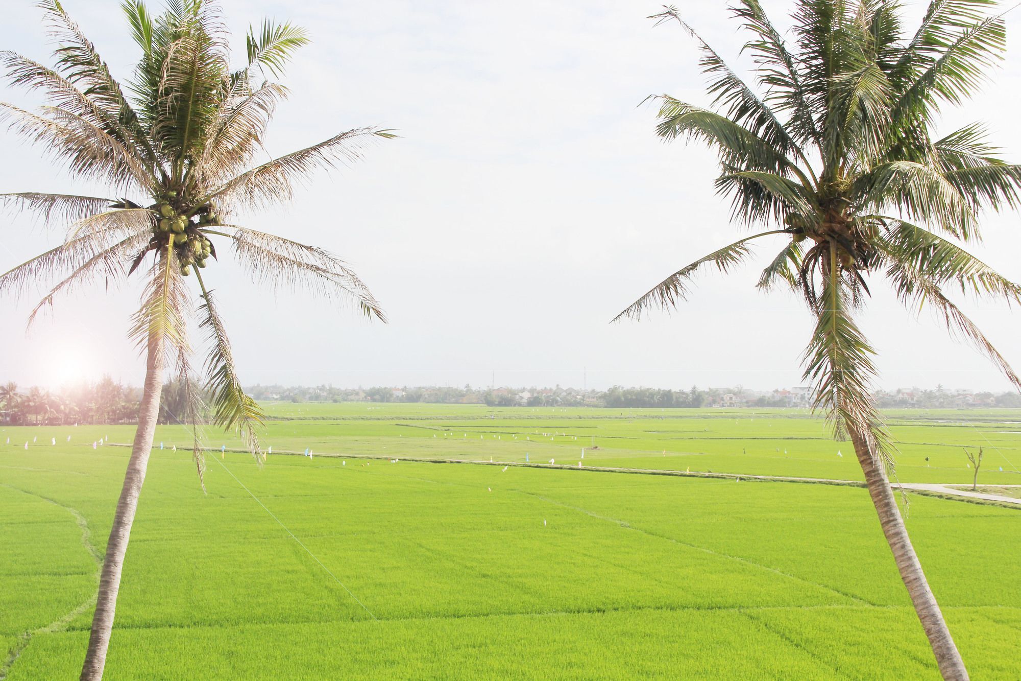 Hoi An Four Season Villa 외부 사진